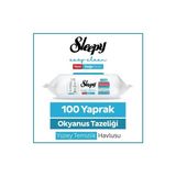 Şeylişeyler - Sleepy Okyanus Tazeliği Yüzey Temizlik Havlusu 100 Yaprak 5 Paket