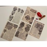 Sf Scrapbook Vintage, Bitki, Çiçek Kağıt Journal Set, Scrapbook, Scrapbooking, Galeri Duvarı, Sanatsal Baskı - ÇİÇEK2