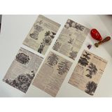 Sf Scrapbook Vintage, Bitki, Çiçek Kağıt Journal Set, Scrapbook, Scrapbooking, Galeri Duvarı, Sanatsal Baskı - ÇİÇEK3