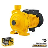 Sgs Santrifüj Su Pompası 750 Watt 1.0 Hp