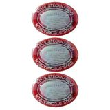 Sgshobby Çelik Toplu Iğne 25 Gram 3 Adet 34 X 0.6 Mm