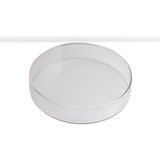 S&H Labware 100 mm Petri Kabı - Şeffaf