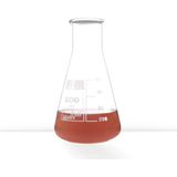 S&H Labware 500 ml Erlen (Geniş Boyun) - Şeffaf