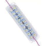 Sh Powermaster 12 Volt 3.6 Watt Soğuk Beyaz Flaşlı Yanıp Sönen 2835 Modül LED Najmaddin - Altın