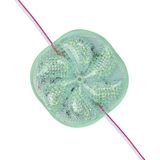 Sh Powermaster 12 Volt 3 Watt Yeşil Yanıp Sönen 6565-2835 Modül LED Sh Najmaddin - Altın