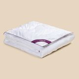 Sh Ticaret Papillow Aloe Vera Yorgan 215X235 King Size Aloe Veralı Yorgan - 001-Renkli - 1 x 32 x 27 cm