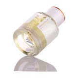 Shaik Rich Kadın Parfüm Sultan, 50 ml, EDP