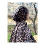 shalby Etnik Leopar Desenli Soft Pamuklu Şal Kumsal Beji Kumsal Beji 70 x 185