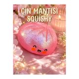 SHAMİRA Çin mantısı squishy kapalı kutu 1 adet karışık renk
