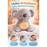 SHAMİRA Uyku arkadaşı nefes alan peluş sevimli koala karışık renk