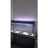 Shark 80 Cm Beyaz Bar Led Akvaryum Aydınlatma