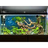 Shark Akvaryum Aydinlatma 4 Sira Osram Marka Ledli 566770147