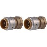 SharkBite Max 3/4 x 3/4 İnç FNPT Adaptörü, Pirinç Tesisat Bağlantı Elemanını Bağlamak İçin İtin, PEX Boru, Bakır, CPVC, PE-RT, HDPE, UR088A (2 paketi)