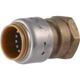 SharkBite Max 3/4 x 3/4 İnç FNPT Adaptörü, Pirinç Tesisat Bağlantı Elemanını Bağlamak İçin İtin, PEX Boru, Bakır, CPVC, PE-RT, HDPE, UR088A