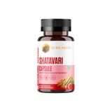 Shatavari Hint Kuşkonmazı Şatavari-asparagus Racemosus 400 Mg, 60 Kapsül