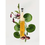 Shayen Paris GAOBEN™ EYE CAPSUL SERUM NATURAL I Niacinamide , Nemlendirici Göz Çevresi Serum