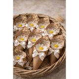 Shaymia Natural Külah Papatya Mum Hediyelik-Kına, Nişan, Düğün, Anneler Günü, Kadınlar Günü- 10 Adet-Shaymia Gifts - 00 Beyaz - 1 Adet
