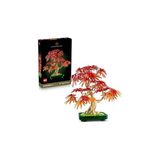 SHC4200 Botanicals Japon Kırmızı Akçaağaç Bonsai Ağacı 10348 - Kırmızı Kehribar Sarısı Yapraklara S - Seçenek