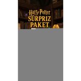 SHC4200 Harry Potter Sürpriz Figür Koleksiyonu Kutu Oyuncak