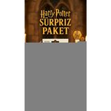 SHC4200 Harry Potter Sürpriz Figür Oyuncak Koleksiyon Kutusu