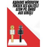 SHC4200 Karaoke Mikrofon Dahili Hoparlörlü Sd-Usb-Aux Girişli Bluetooth Hoparlör - Ahşap