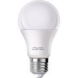 SHC4200 Pmled-12 10 Watt 12 Volt 6500K LED Ampul