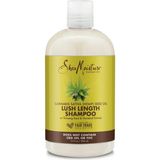 Shea Moisture Lush Length 384 ml Şampuan