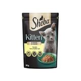 Sheba 85 gr Tavuklu Kitten Yavru Kedi Maması