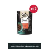 SHEBA Yetişkin Sığırlı Kedi Yaş Mama 85 G 12x