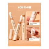 Sheglam Chantilly Complexion Boost Concealer
