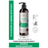 Sheida Active Shine At Kuyruğu Hindiba 500 ml Şampuan