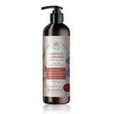Sheida Aktive Shine Onarıcı Bakım 500 ml Şampuan