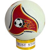 Shem Futbol Topu Kauçuk No:5 Şişirme Pompası Hediyeli - Beyaz