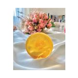 shemo GANO Transparent Soap Şefaf Sabun 100 gr (GANO SOAP)