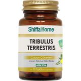 Shiffa Home Tribulus Terrestris Çoban Çökerten 60 Kapsül - Aromasız