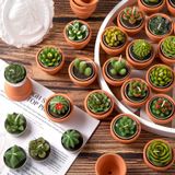 Shihanee 24'lü Paket Etli Mumlar Kaktüs Tealight Mumlar Terracotta Pot ile Toplu Yenilik El Yapımı Şık Bitki Mumları Bebek Duş Doğum Günü Düğün Partisi için Ev Dekoru (Klasik Stil)