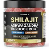 Shilajit Sourced Sea Moss + Lion's mane Watermelon 60 Gummies