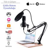 Shipment Profesyonel USB Kondansatör Mikrofon Seti Ayarlanabilir Kol Stand Podcast Youtube Karaoke Stüdyo - Siyah