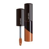 Shiseido BR 301 Lacquer Gloss