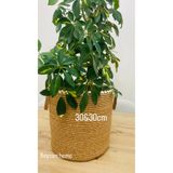 SHLM TEKSTİL 30&30 Hasır Saksılık,Sepet, Düzenleyici, Oyuncak sepeti 30x30