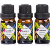 Shoplet 3’lü Esansiyel Uçucu Yağ 3X10ML Colorful Kokulu Buhurdanlık Yağı Set, Difüzör, Banyo ve Oda Kokusu