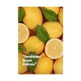 Shoplet Lemon-Limon Oda Kokusu Yedek Makine Spreyi 250 ml