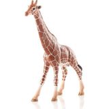 Shopwave Schleich Dişi Zürafa, Oyuncak Figür - (ClearEyelets)Black-RadiantOrchid