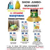 Show Jumbo Muhabbet Kuşları Üreme Dönemi Ve Sağlık Seti Bol Yavru Yüksek Verim