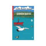 Sia Kitap Şehrin Batısı: Kuşlar Çevre Kirliliğine Çözüm Buluyor - Meraklı Martılar ve Çevremiz 4. Kitap
