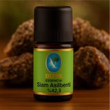 Siam Asilbenti %50* Organik %100 Saf Uçucu Yağ 5Ml