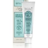 Siberian Wellness Sıberıan Propolis Bitkisel Diş Macunu 100 ml Doğal İçeriklerle Ağız Bakımı