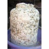 Sidal Market Kekikli Basma Çökelek 800 gr