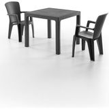 Side 2 Kişilik Rattan Masa Sandalye Takımı Siyah