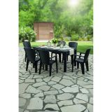 Side 6 Kişilik Rattan Masa Sandalye Takımı Siyah Siyah